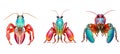 animal mantis shrimp animal