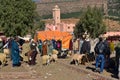 Animal market in Morocco village