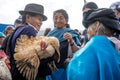 Animal market Otavalo Ecuador Royalty Free Stock Photo