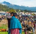 Animal Market, Otavalo, Ecuador Royalty Free Stock Photo