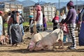 Animal market in Otavalo, Ecuador