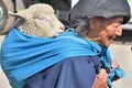 Animal market in Otavalo, Ecuador Royalty Free Stock Photo