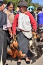 Animal market in Otavalo, Ecuador