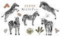 Animal object collection with zebra.Vector illustration for icon,sticker,printable