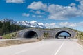 Animal overpass, Banff Royalty Free Stock Photo