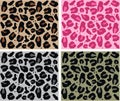 Animal pattern Royalty Free Stock Photo