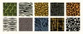 Animal patterns. Seamless print of wild fur skin leather, tiger leopard cheetah zebra giraffe python texture, zoo