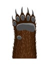 Animal paw. Animalistic foot of bear. Funny fur pet with dangerous claws