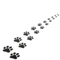 Animal paw print trace vector illustration Royalty Free Stock Photo