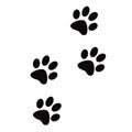 Animal paw prints footprints track