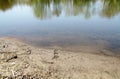 Animal Paw Prints in the Sand Wildlife Beautiful Nature on the Beach at the Lake. Wilderness Canada, North America.