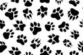 Animal paw prints set, vector different animals footprints. Dog fox wolf bear cat lion leopard tiger Royalty Free Stock Photo