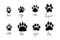 Animal paw prints set, vector different animals footprints. Dog fox wolf bear cat lion leopard tiger Royalty Free Stock Photo