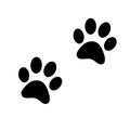 Animal paw prints on white background