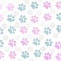 Animal paws over white background