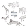 Animal polygon vector