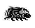 Animal porcupine icon.