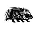 Animal porcupine icon.