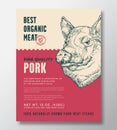 Animal Portrait Organic Pork Meat Abstract Vector Packaging Design or Label Template. Farm Grown Steaks Banner Modern