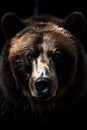 wonderful colored frontal portrait of a bear like male grizzly in front of a dark background