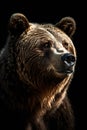 Animal Power - wonderful colored portrait of a bear