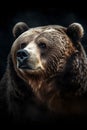 Animal Power - wonderful colored portrait of a bear