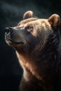 Animal Power - wonderful colored portrait of a bear