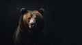Animal Power - wonderful colored portrait of a bear copy space right