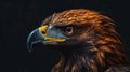 Animal Power - wonderful profile of a golden eagle with dark background