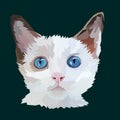 Animal prin cat white color pop art portrait isolated decoration