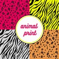 Animal print Royalty Free Stock Photo