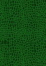 Animal print crocodile green background leather
