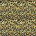 Golden leopard wallpaper. Animal print