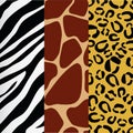 animal print pattern image