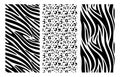 Animal print set. Leopard, zebra skin pattern. Black dots and stripes background. African wildlife, safari trendy vector