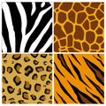 Animal prints set - zebra, tiger, leopard and giraffe