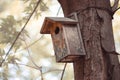 A wooden birdhouse bolted to a tree in a park with wire Royalty Free Stock Photo