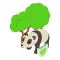 Animal protection icon isometric vector. Panda under tree protected by shield