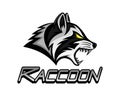 Animal raccoon icon.