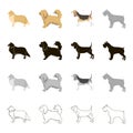 animal related icon set