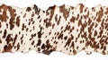 Animal rights concept A cowhide rug with a natural pattern of brown spots on a white background Royalty Free Stock Photo