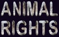 Animal rights phrase written in capital letters with fur inside
