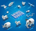 Animal Robots Isometric Flowchart Royalty Free Stock Photo