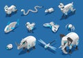 Animal Robots Isometric Icons Royalty Free Stock Photo