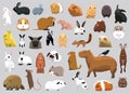 Animal Rodent Capybara Rabbit Hamster Guinea Pig Rat Characters Cartoon Vector Royalty Free Stock Photo