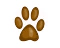 An animal`s paw. A trace of a brown color.