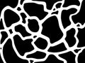 Jungle print skin spot giraffe texture pattern black white Royalty Free Stock Photo