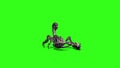 Animal Scorpio Walk Front Green Screen 3D Rendering