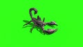 Animal Scorpio Walk Loop Green Screen 3D Rendering