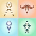 Animal Scull Set Elephant Buffalo Ostrich Lion Royalty Free Stock Photo